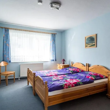 Appartement 5, Waldesruh